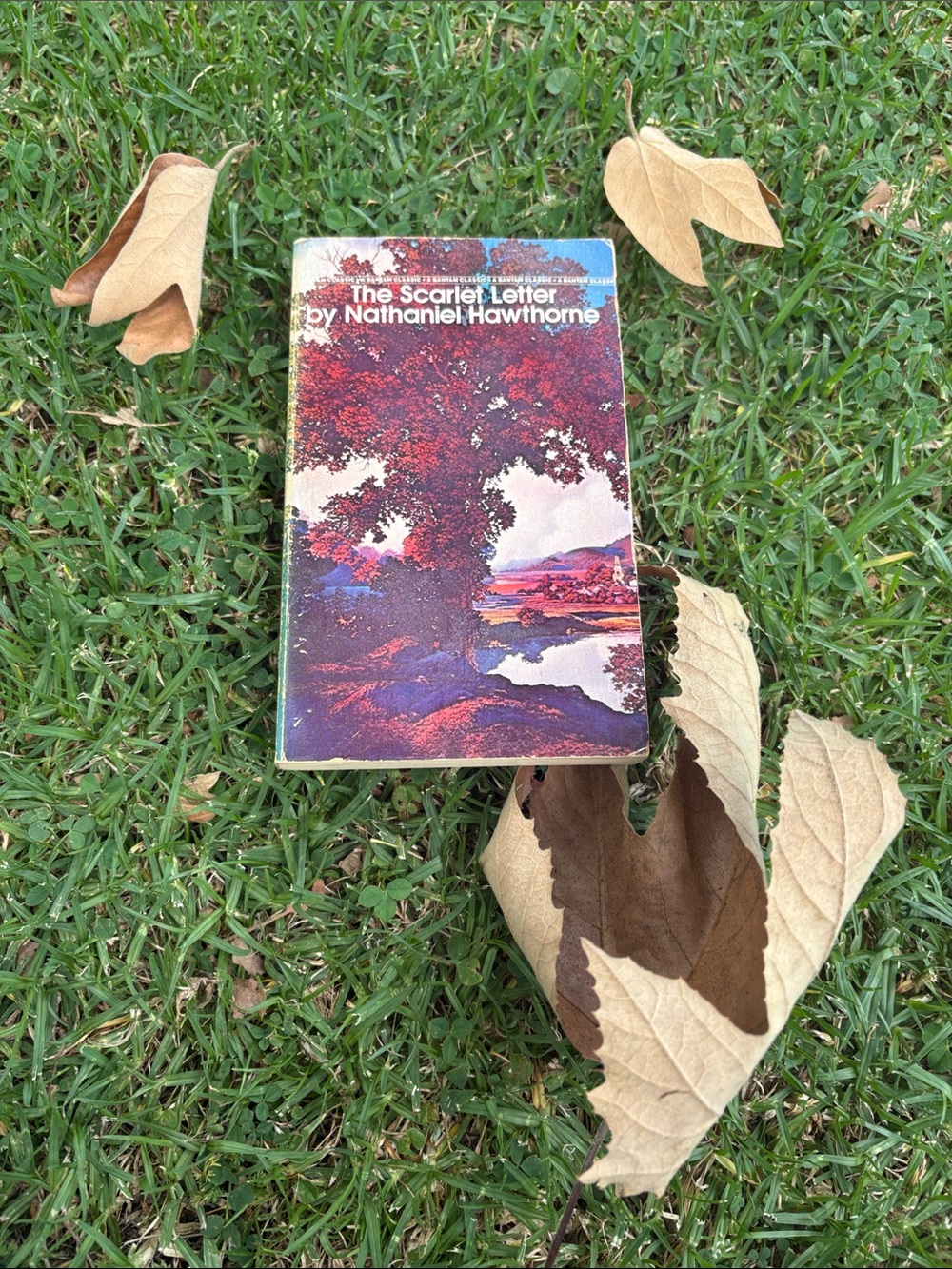 Vintage find “The Scarlet Letter”by Nathaniel Hawthorne —
